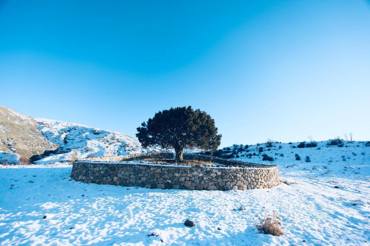Baksi Konukevi By Anatolity Collection Hotel Bayburt  Bagian luar foto